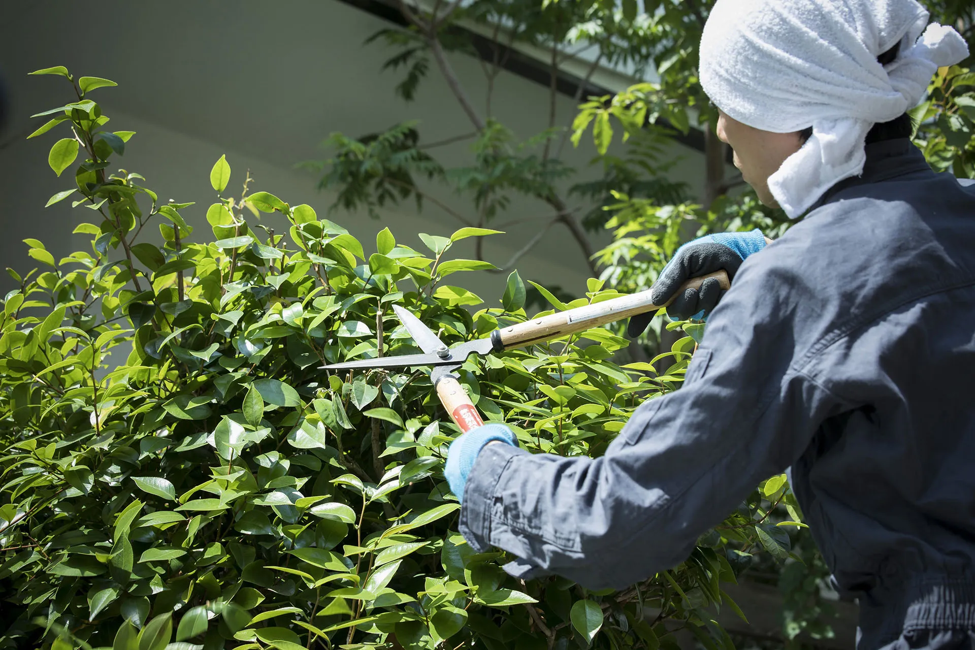 株式会社優心植木